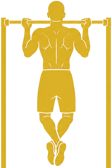 Tractions supination