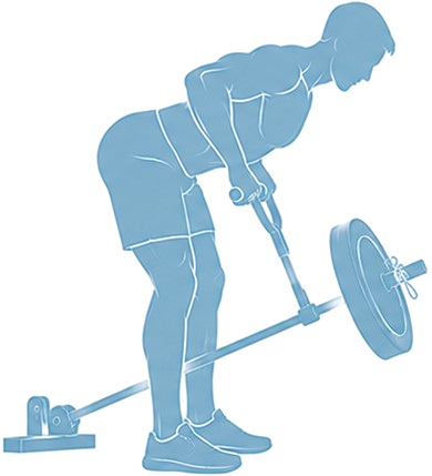 Rowing à la barre T